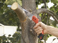 Odvětvov&aacute;n&iacute;