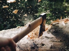 K&aacute;cen&iacute; stromů Praha